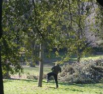 Arti marziali contro un povero albero - copyright ilRespiro.eu